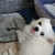 Profile picture small