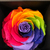 Profile picture small