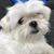 Profile picture small