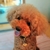 Profile picture small