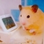 Profile picture small