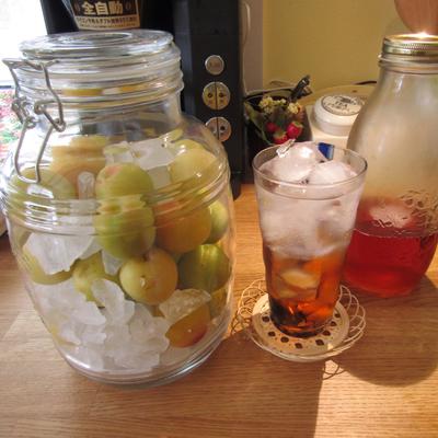 たべれぽの写真