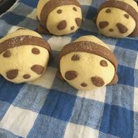 たべれぽ