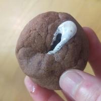 たべれぽ