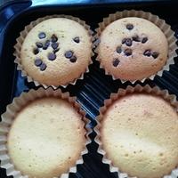 たべれぽ
