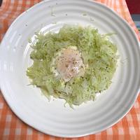 たべれぽ