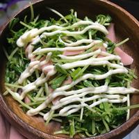 たべれぽ