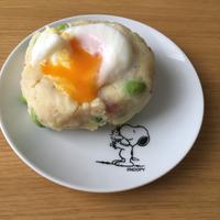 たべれぽ