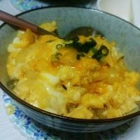 たべれぽ
