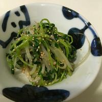 たべれぽ