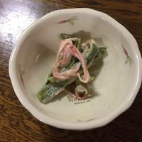 たべれぽ