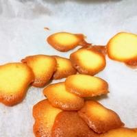たべれぽ