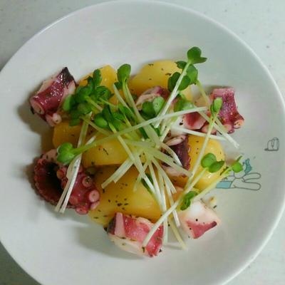 たべれぽの写真