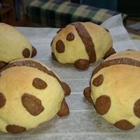 たべれぽ