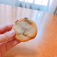 たべれぽ