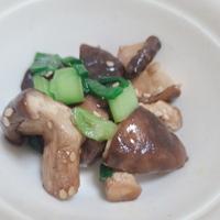 たべれぽ