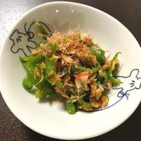 たべれぽ