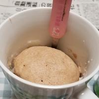 たべれぽ