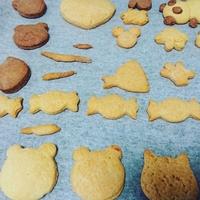 たべれぽ