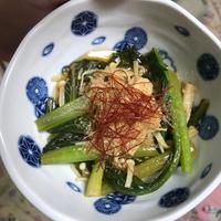 たべれぽ