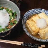 たべれぽ