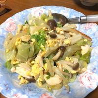 たべれぽ
