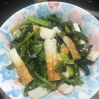 たべれぽ