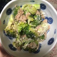 たべれぽ