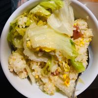 たべれぽ