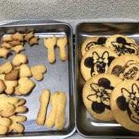 たべれぽ