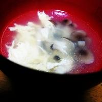 たべれぽ