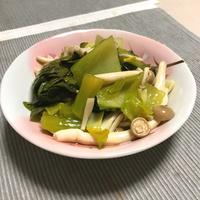 たべれぽ