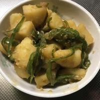 たべれぽ