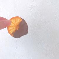 たべれぽ