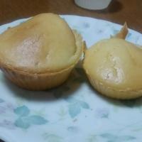 たべれぽ