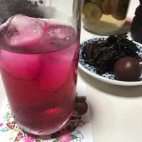 たべれぽ