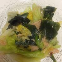 たべれぽ
