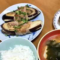 たべれぽ