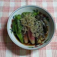 たべれぽ