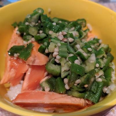 たべれぽの写真