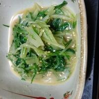 たべれぽ