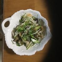 たべれぽ