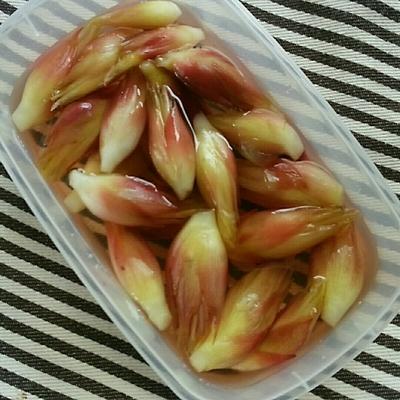 たべれぽの写真