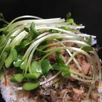 たべれぽ