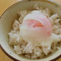 たべれぽ