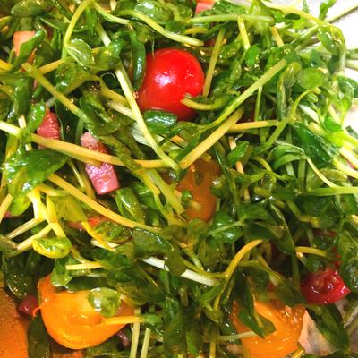 たべれぽの写真