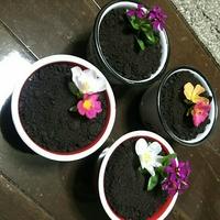 たべれぽ
