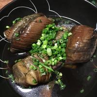 たべれぽ