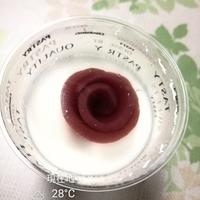 たべれぽ
