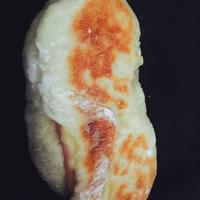 たべれぽ